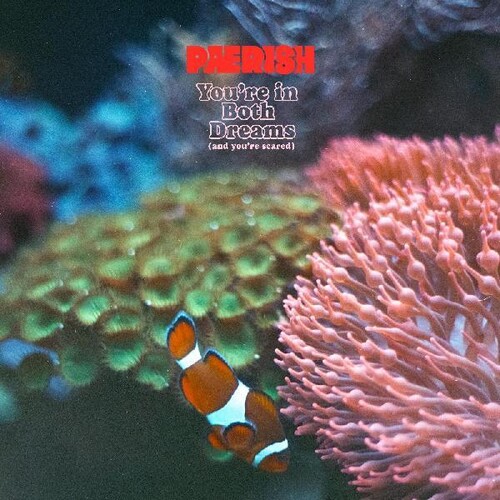 You're In Both Dreams (and You're Scared)