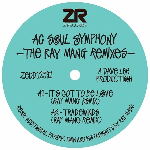 The Ray Mang Remixes