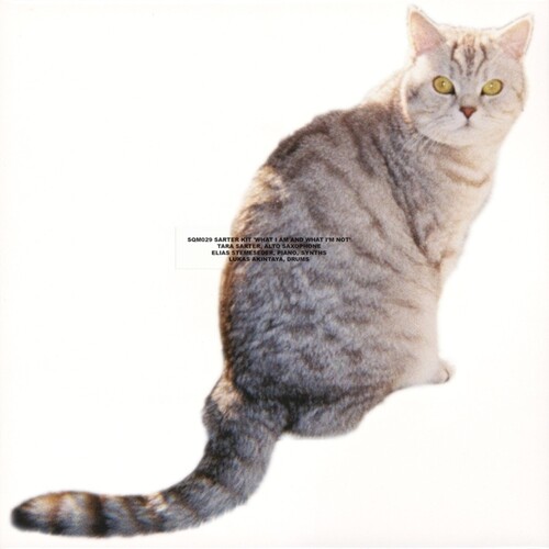 What I Am And What I'm Not