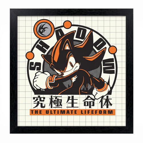 SONIC- ULTIMATE LIFEFORM 12X12 GEL-COAT FRAMED