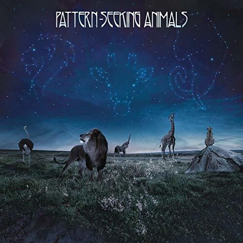 Pattern-Seeking Animals - Pattern-Seeking Animals (Gatefold black 2LP+CD)