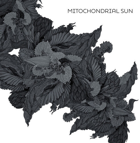 Mitochondrial Sun