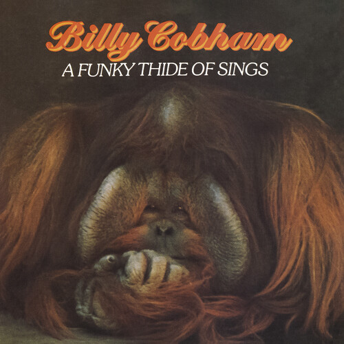 A Funky Thide Of Sings [Import]
