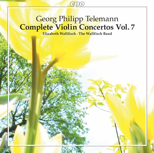 Complete Violin Concertos 7