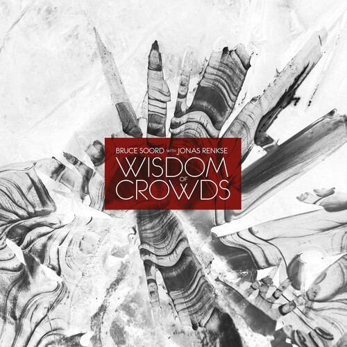 Bruce Soord / Renkse,Jonas - Wisdom Of Crowds vinyl record cover