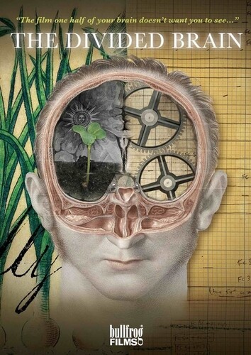 Divided Brain