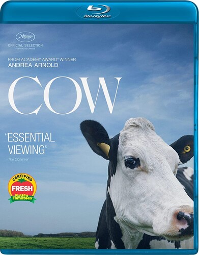 Cow Bd - Cow Bd / (Sub)