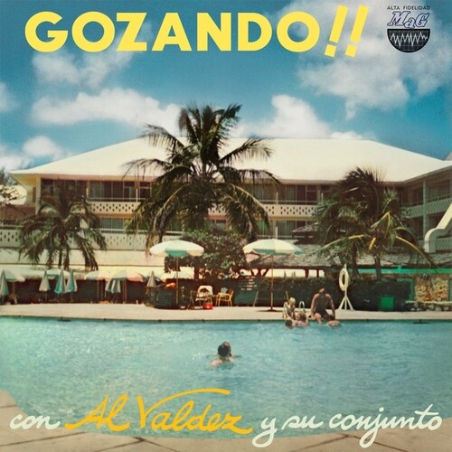Al Valdez  / Su Conjunto - Gozando