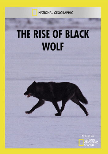 Rise of Black Wolf