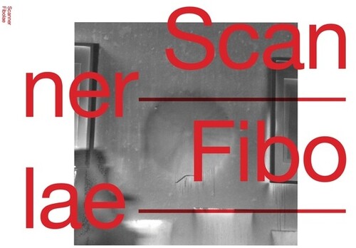 Fibolae