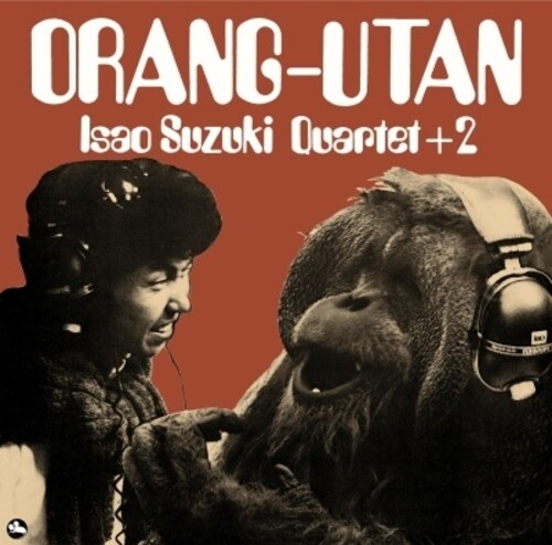 Orang-utan