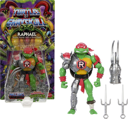 MOTU TURTLES OF GRAYSKULL CORE FIGURE 2