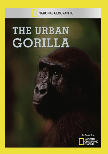 Urban Gorilla