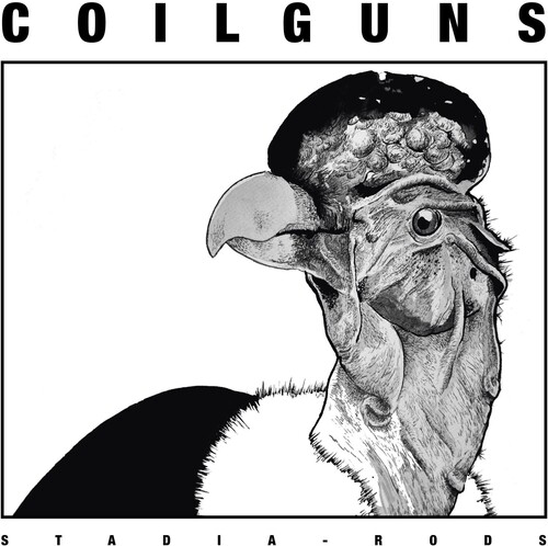 Stadia Rods|Coilguns