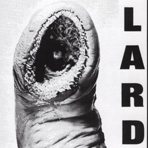 Power of Lard