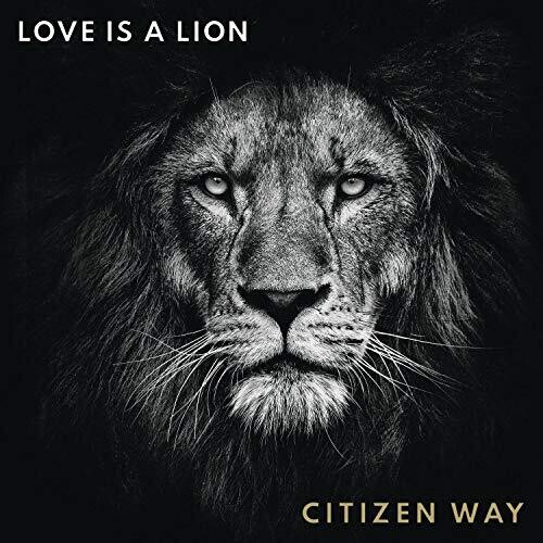 LOVE IS A LION