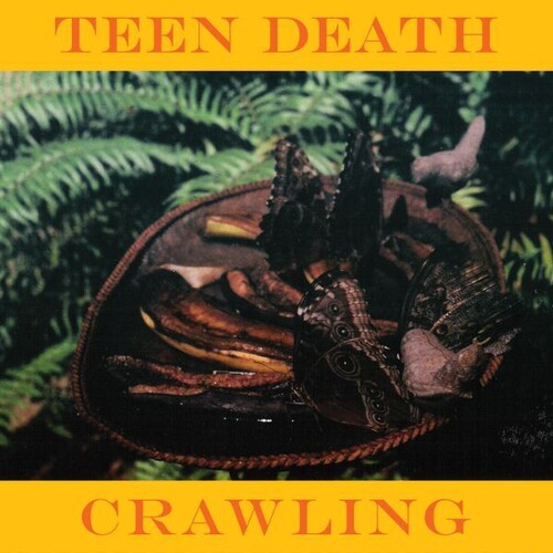 Crawling & More