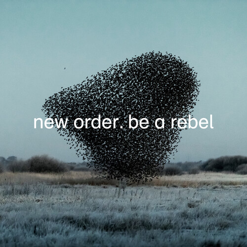New Order - Be A Rebel [Vinyl Single]