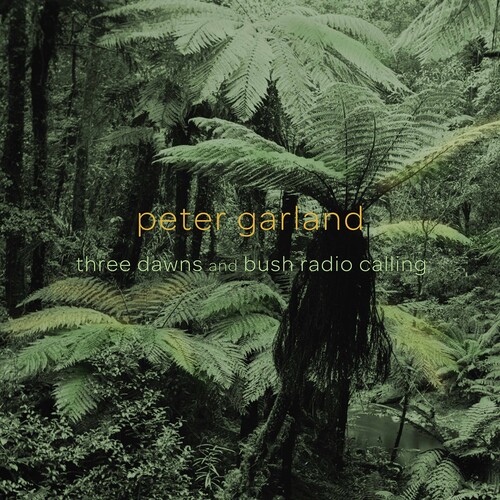 Three Dawns & Bush Radio