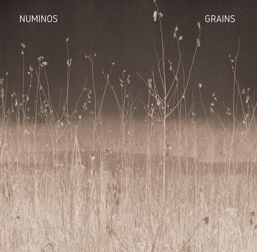 Numinos - Grains