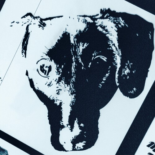 Denial (Original Soundtrack)