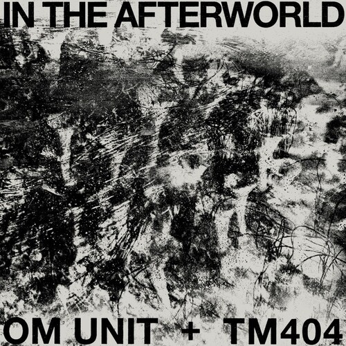 Om Unit / Tm404 - In The Afterworld