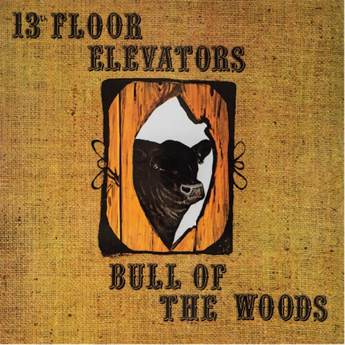 Bull Of The Woods|The 13th Floor Elevators