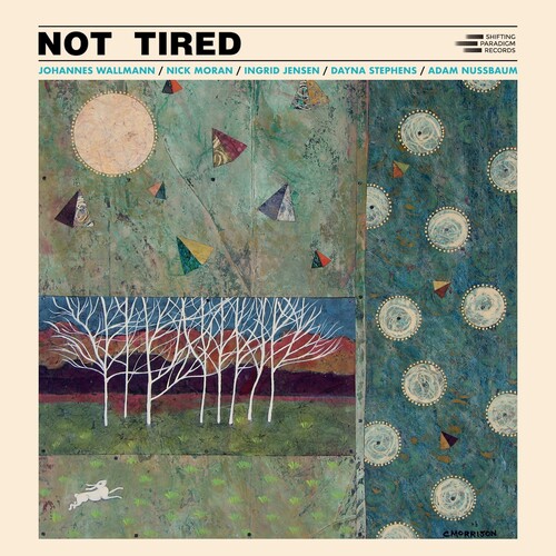 Johannes Wallmann - Not Tired vinyl record cover