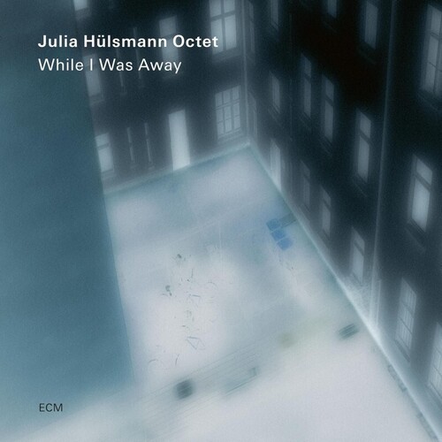 Julia Husmann - While I Was Away vinyl record cover