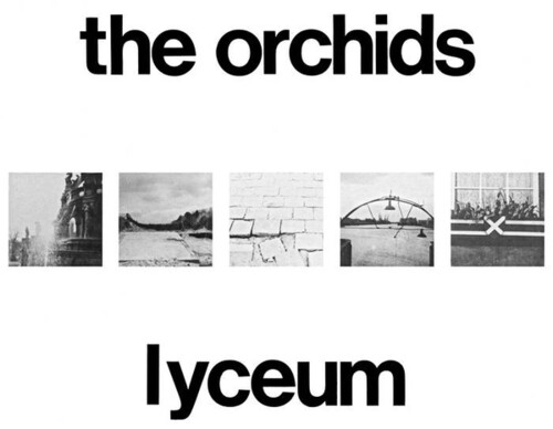 Orchids - Lyceum vinyl record cover