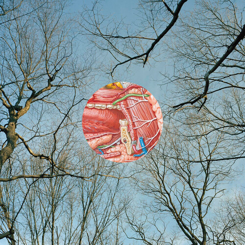 They Might Be Giants - Glean [Clear Vinyl] (Red)