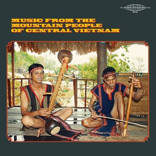 Music From the Mountain People of Vietnam / Var - Music From The Mountain People Of Vietnam vinyl record cover