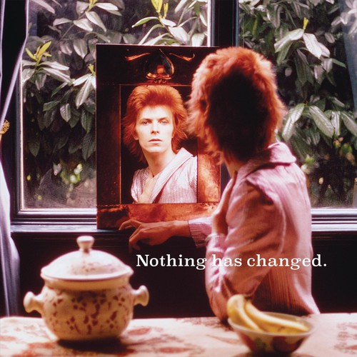 David Bowie - Nothing Has Changed [Vinyl]