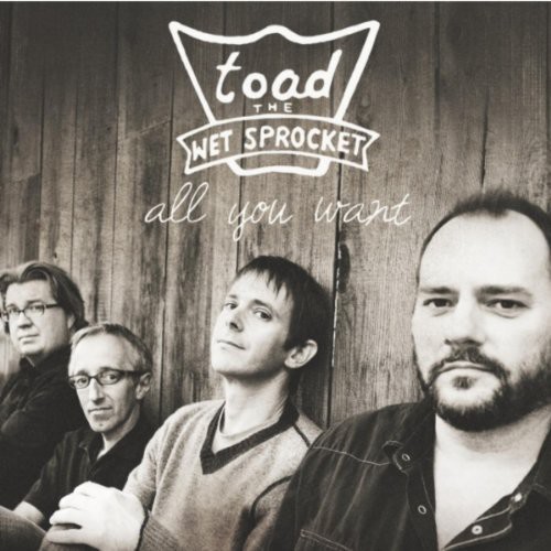 Toad The Wet Sprocket - All You Want