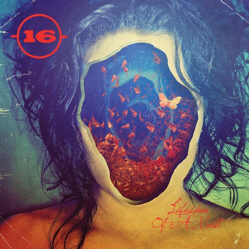 16 - Lifespan Of A Moth vinyl record cover