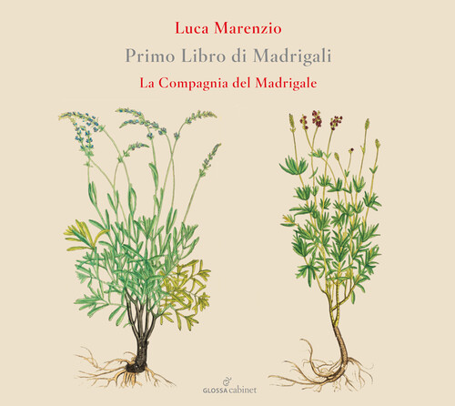 Primo Libro Di Madrigali