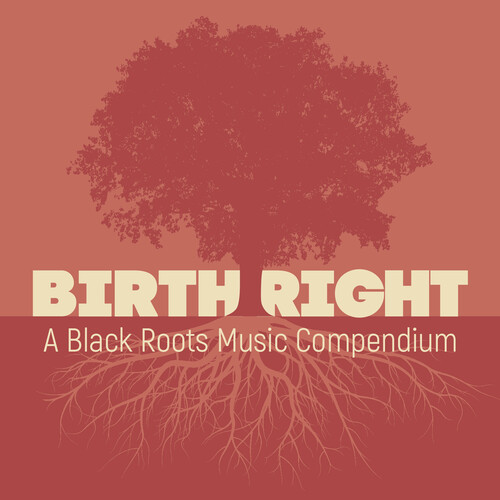 Birthright: A Black Roots Music Compendium (Various Artists)