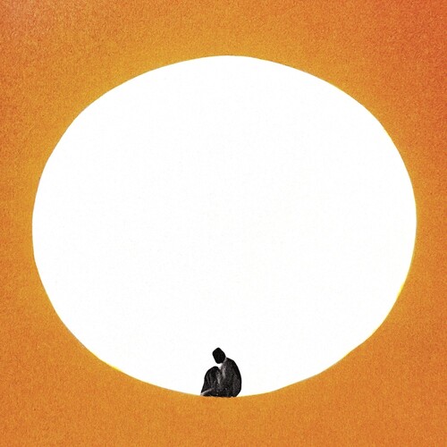 Death Cab for Cutie - I Built You A Tower vinyl record cover