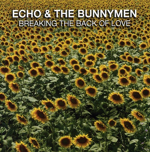 Breaking The Back Of Love
