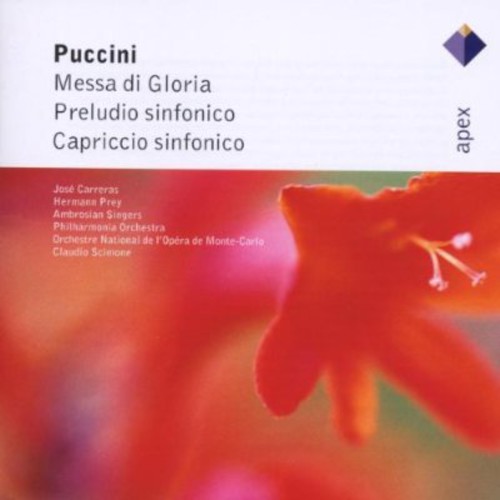 Messa Di Gloria