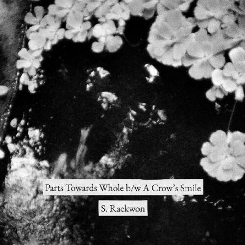 Parts Towards Whole /  A Crowds Smile