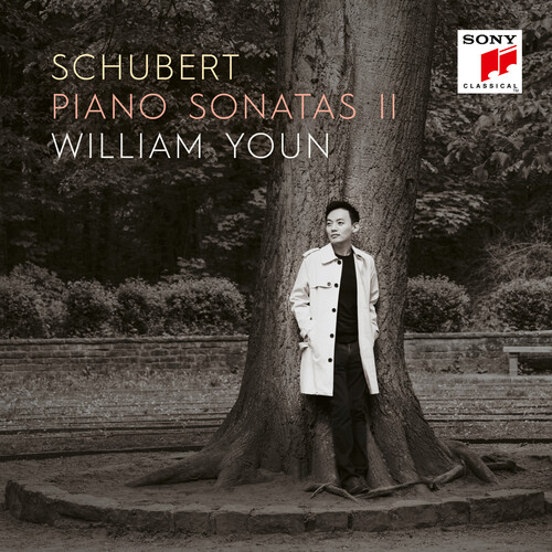 Piano Sonatas II