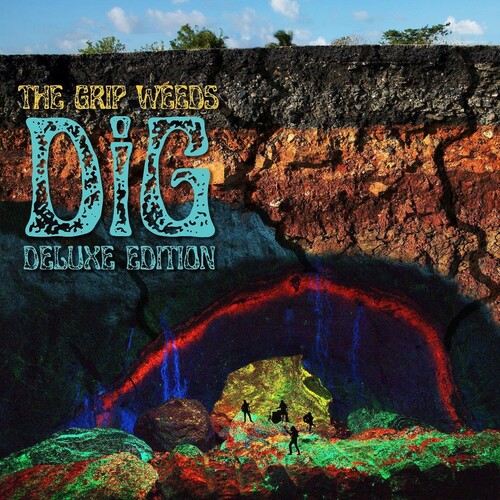 The Grip Weeds - DiG [LP]