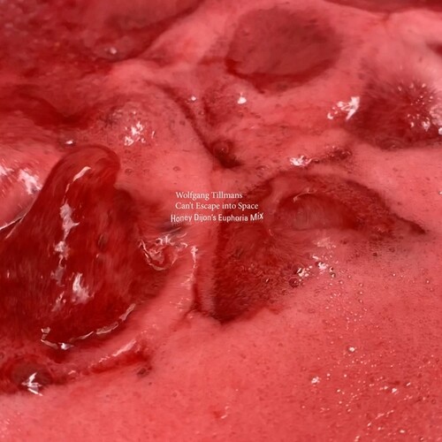 Wolfgang Tillmans - Can't Escape Into Space: Honey Dijon's Euphoria vinyl record cover