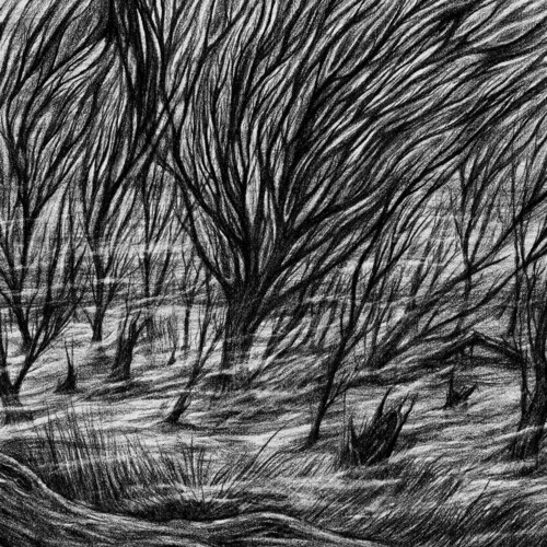 ETERNAL MARSHES