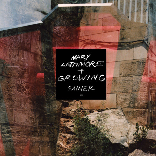 Lattimore, Mary & Growing - Gainer vinyl record cover