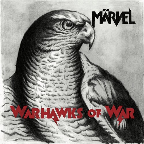 Warhawks Of War