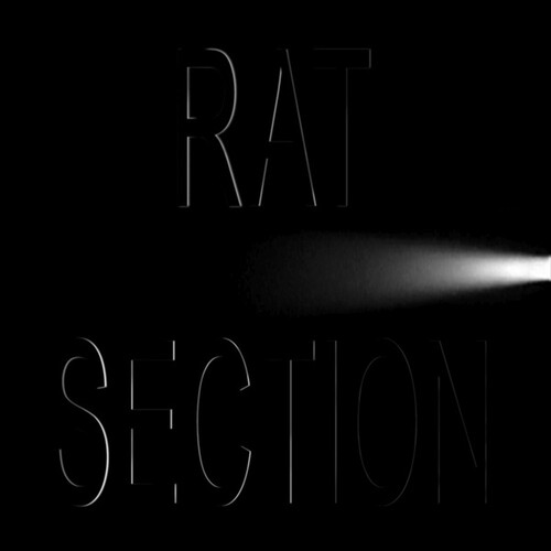 Rat Section - What Stays In Vegas