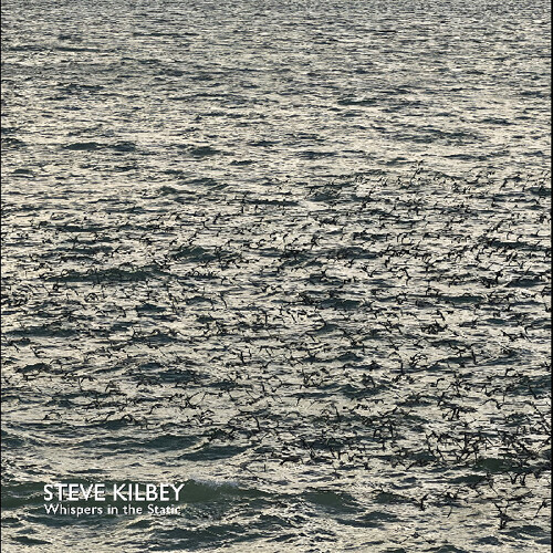 Whispers In The Static