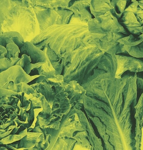 Monorail 3000 B/w Star Children